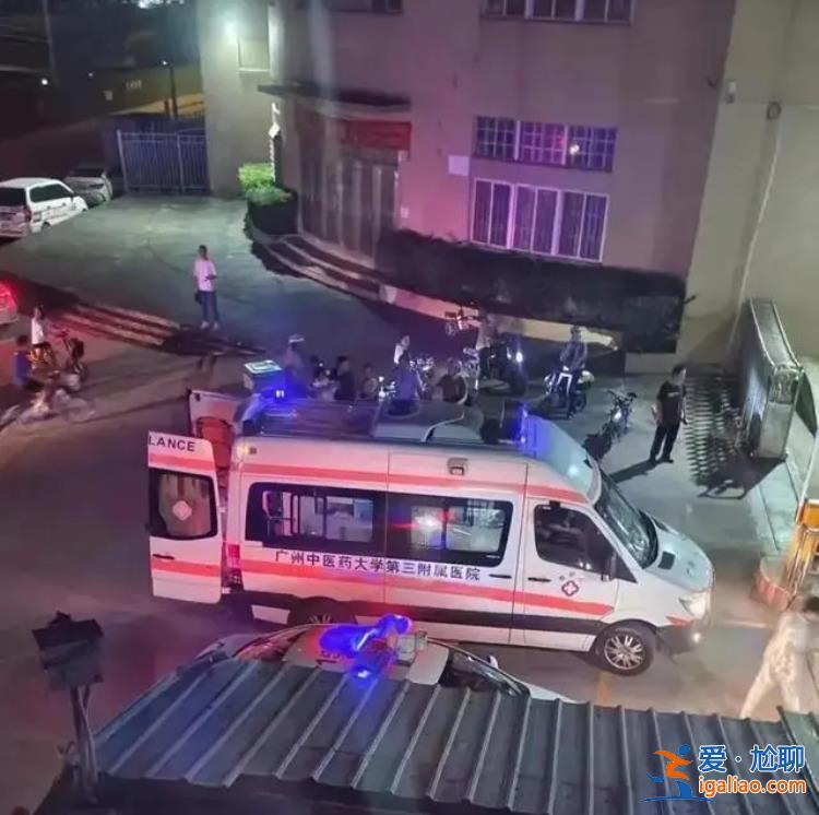 他问法官是立即执行吗？