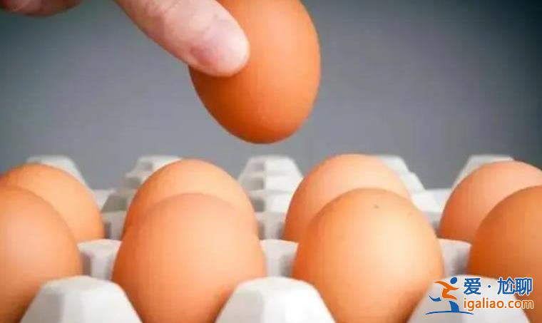 夫妻养2.8万只鸡为省人工自己捡蛋 1分钟能捡上百个鸡蛋？