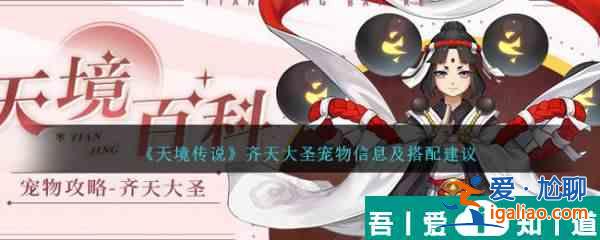 天境传说齐天大圣宠物信息及搭配建议 具体一览？