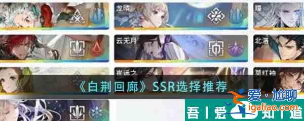 白荆回廊SSR怎么选 白荆回廊SSR选择推荐？