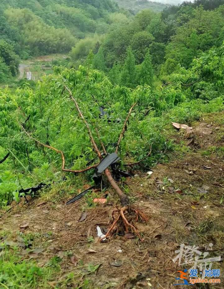 浙江夫妻开特斯拉冲下山路身亡 现场无制动痕迹 行车记录仪数据消失？