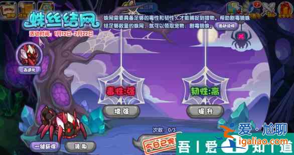 洛克王国蛛丝结网怎么玩 洛克王国蛛丝结网攻略详解？