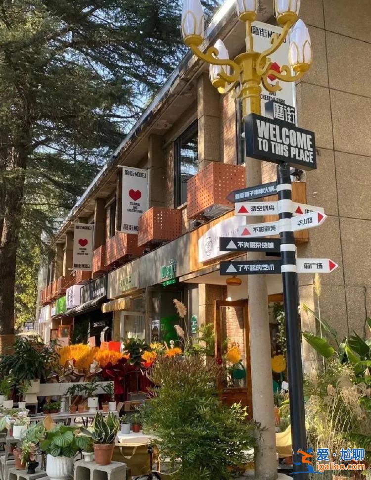 最高500万 演出、组团旅游等都有奖？