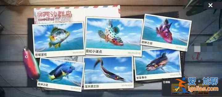 书名：快乐钓鱼大师T3新地图珍奇鱼合集鱼图鉴合集？