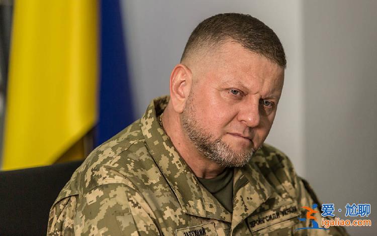 乌军前总司令扎卢日内退出现役 被任命为乌克兰驻英大使？