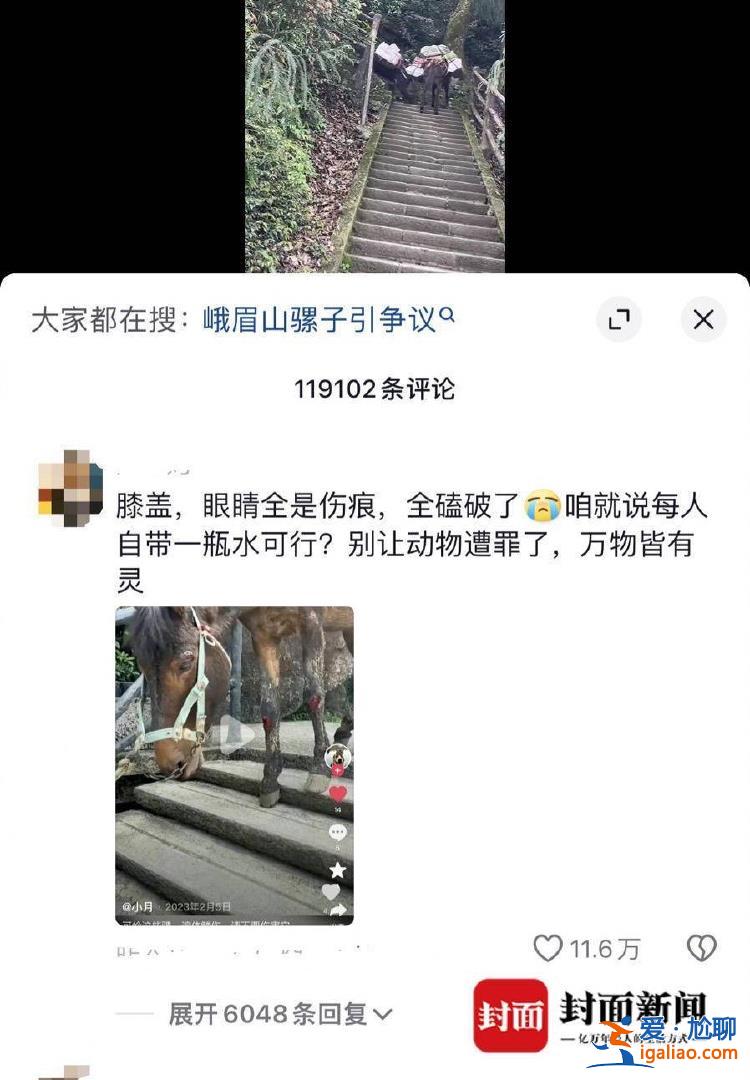 是村民的家畜 健康状况良好？