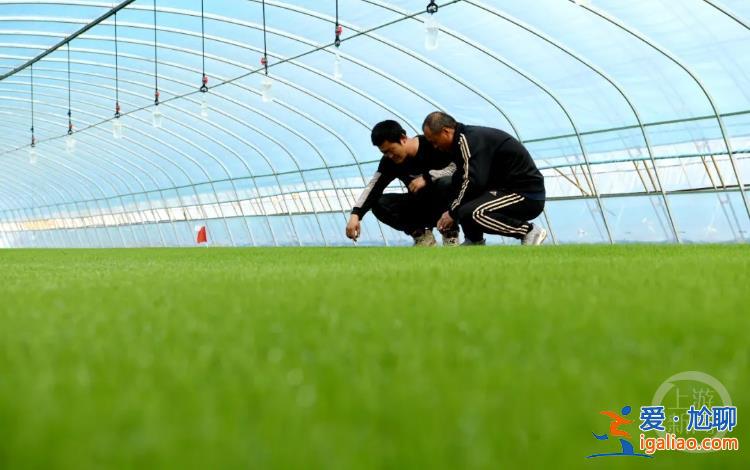 种植户家中用手机“远程种植” 插秧实现无人驾驶？