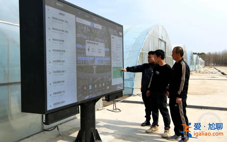种植户家中用手机“远程种植” 插秧实现无人驾驶？