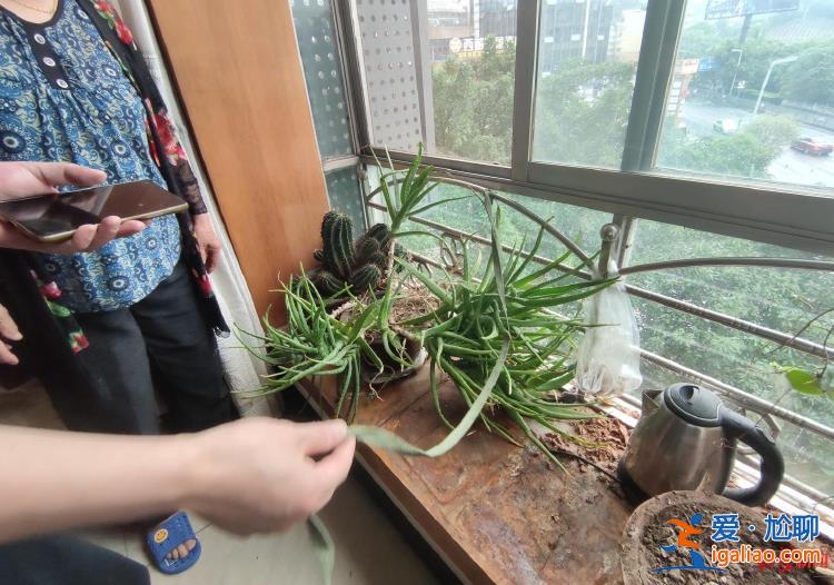 路人用泡沫箱搭救生垫救她一命 目前生命体征稳定？