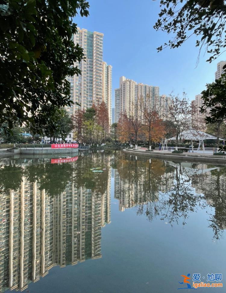 “向物业追讨4000万”后 上海“最牛业委会”再次面临挑战？