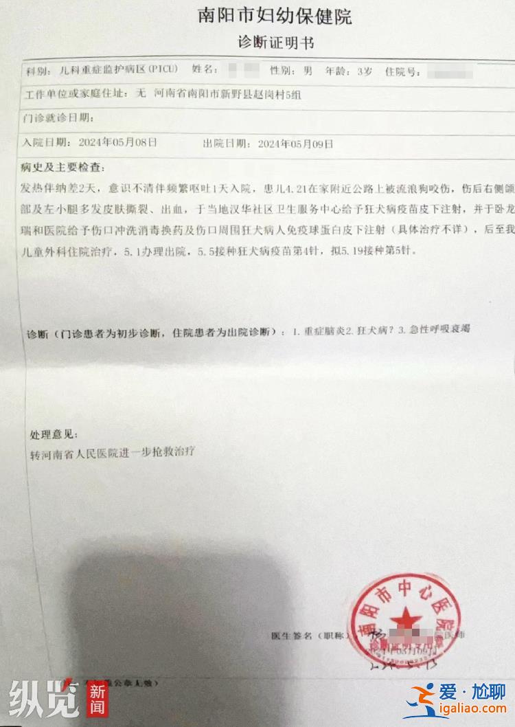 只希望尽快找到狗主人？