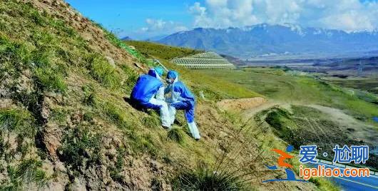 青海“8·07”日月山埋尸案罪犯马成被执行死刑？