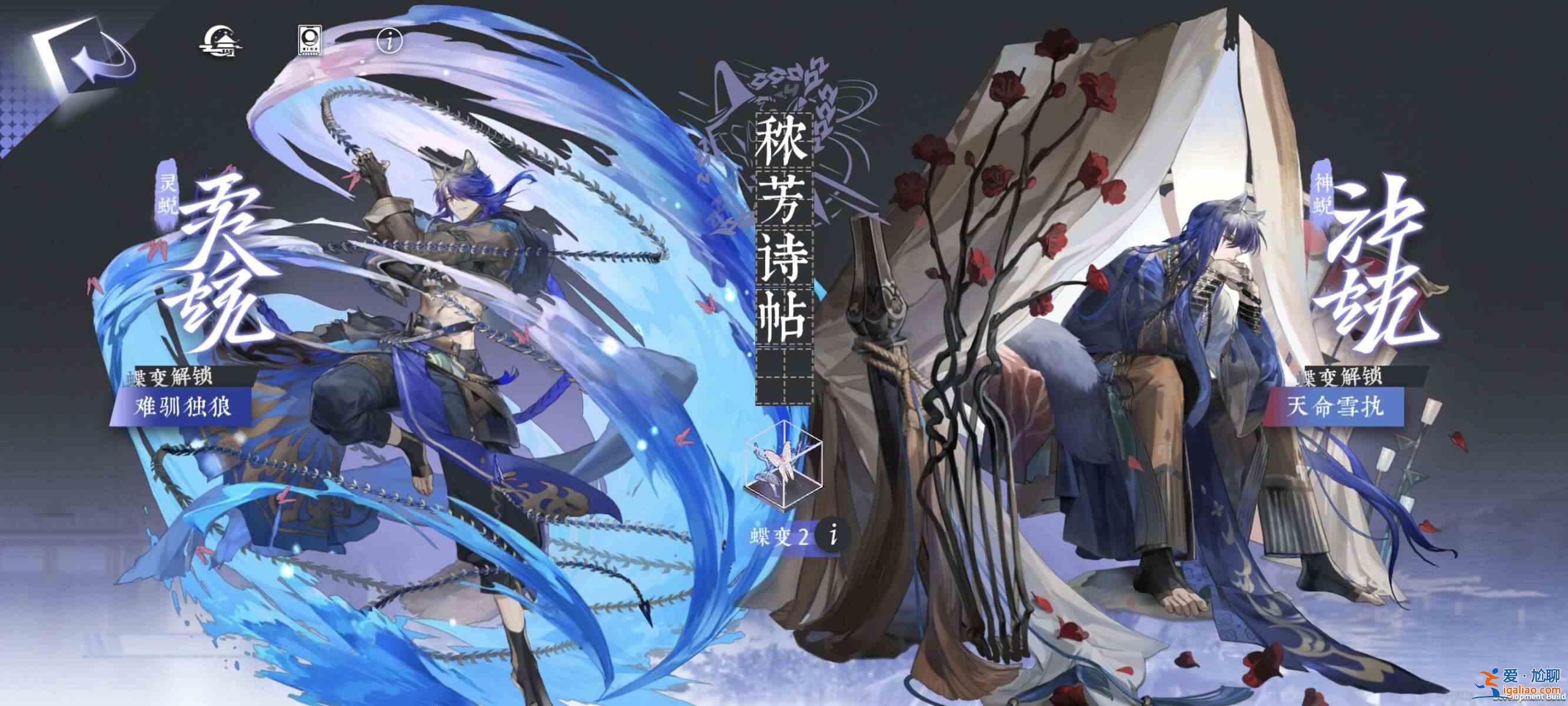 永月风雅的天级许愿蝶变如何选择 日级许愿蝴蝶变身选择指南？