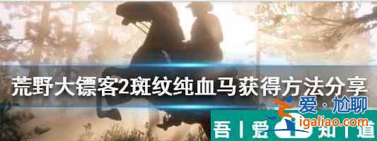 荒野大镖客2开局怎么获取纯血马 获得纯血马方法？