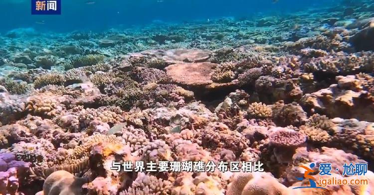 菲方炮制言论毫无科学和事实依据？