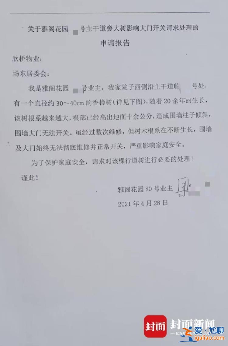 上海一业主砍伐院外树木被罚3万元 曾称香樟树影响生活已向多方反映？