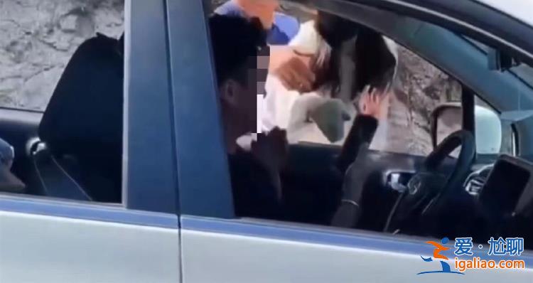 “路虎女司机逆行打人”是否构成寻衅滋事？律师解读？