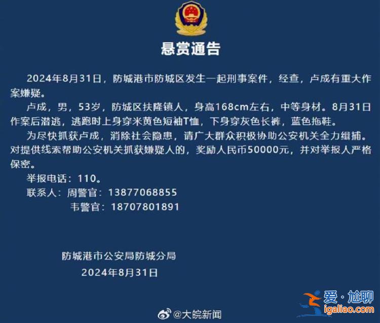 已组织人员进山进行搜索？