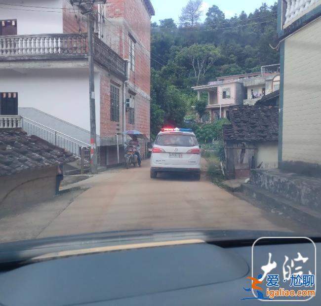 家门反锁 不敢上山采八角？