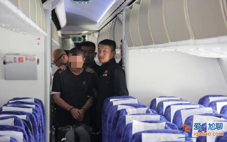 伙同他人集资诈骗200亿余元 经济犯罪嫌疑人向某华被遣返回国？