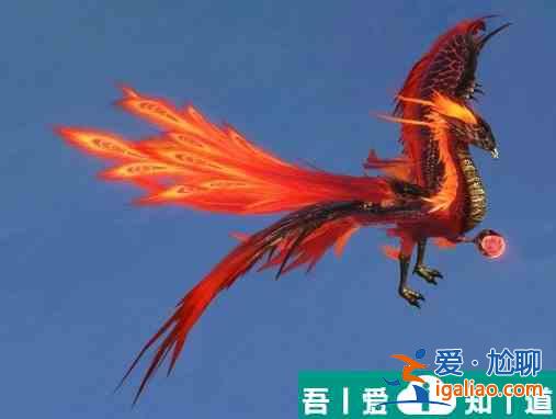 妄想山海金乌技能介绍 具体一览？