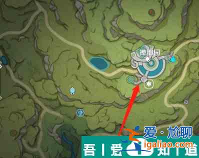 原神证悟木在哪砍*快 具体一览？