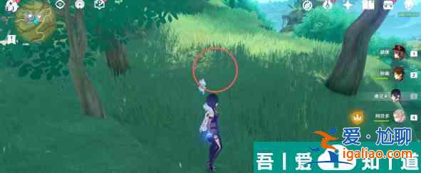原神证悟木在哪砍*快 具体一览？