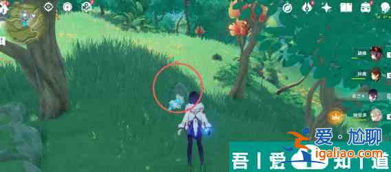 原神证悟木在哪砍*快 具体一览？