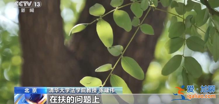 扶不扶？服！摔倒老人诬陷好心搀扶小伙被行拘？