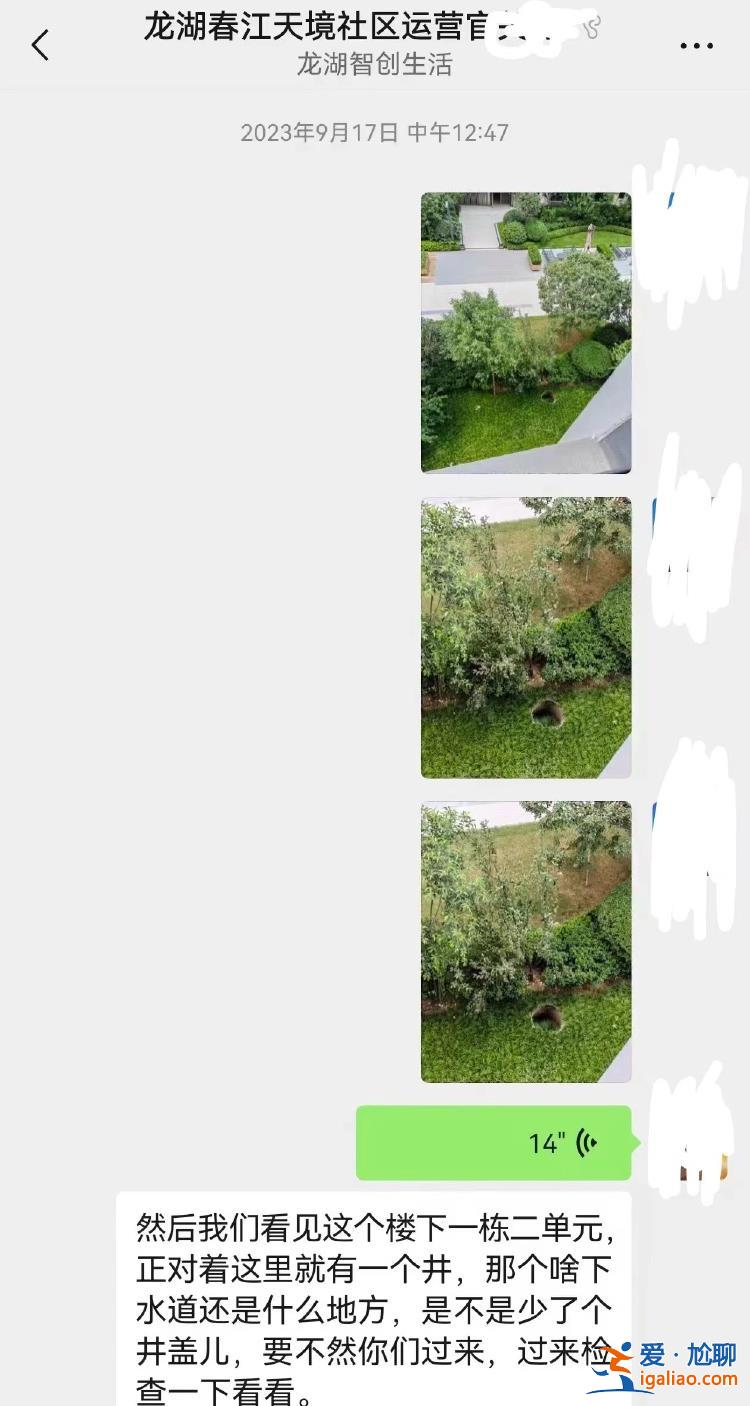 井口仅用胶合板覆盖 8岁女童身亡？