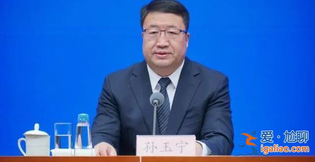 副部级“老虎”孙玉宁任上被查 今年内已有多名海关系统官员落马？