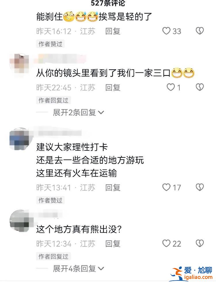 江苏徐州一处铁轨上多名游客打卡逼停火车头？当地回应？