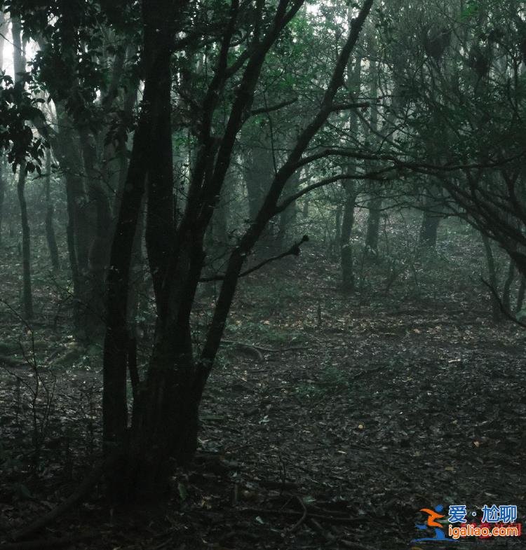 部分区域已被开发成景区 当地人不敢贸然进入深山？