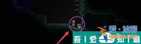 泰拉瑞亚怎么制作吸血扇 打法攻略？
