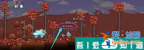 泰拉瑞亚怎么制作吸血扇 打法攻略？