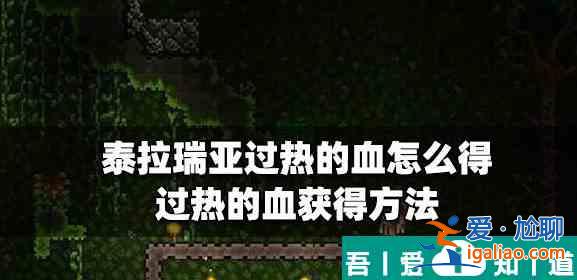 泰拉瑞亚过热的血概率多少 具体一览？