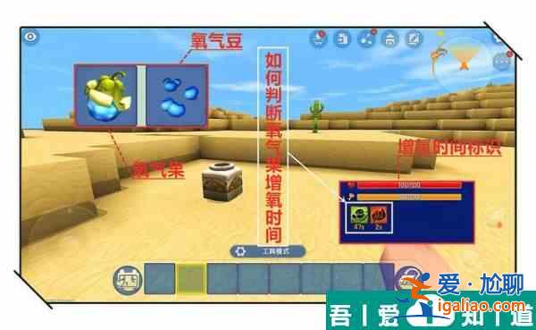 迷你世界氧气豆怎么种  迷你世界氧气豆获取方法？