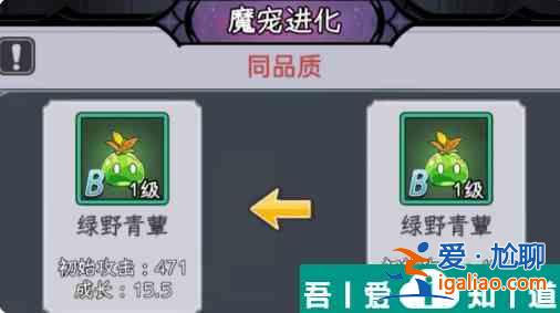 勇闯女巫塔魔宠怎么打 勇闯女巫塔魔宠攻略？