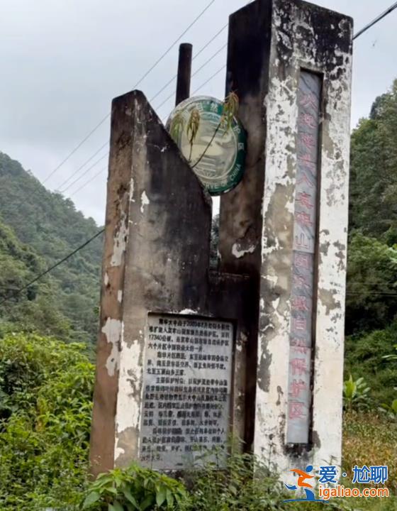 公告2022年就已发布？
