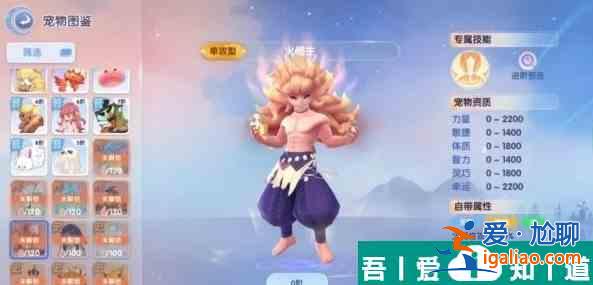 仙境传说爱如初见传说宠物哪个好 传说宠物选择推荐？