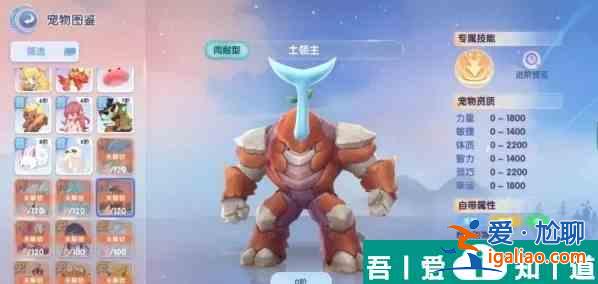 仙境传说爱如初见传说宠物哪个好 传说宠物选择推荐？