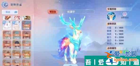 仙境传说爱如初见传说宠物哪个好 传说宠物选择推荐？