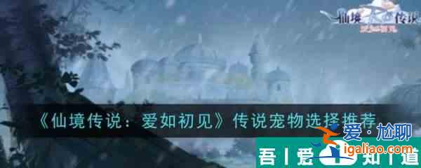 仙境传说爱如初见传说宠物哪个好 传说宠物选择推荐？
