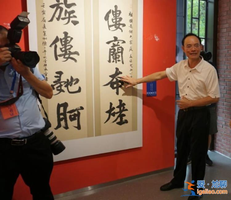 陈一平被查！曾任公安厅副厅长 退休后举办过书法展？