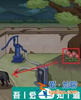 看你怎么秀出不去的家怎么过 看你怎么秀出不去的家通关攻略？