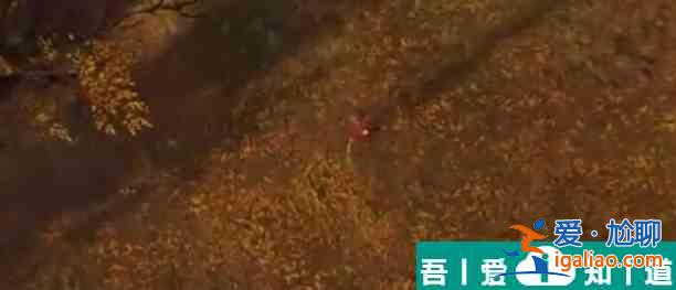 永劫无间宁红夜天赋技能选择搭配推荐 具体介绍？