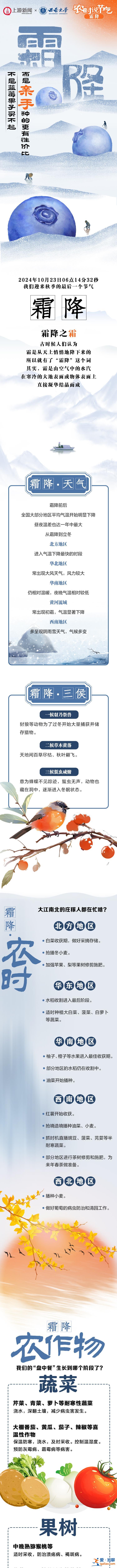 农时说节气·霜降｜不是蓝莓果子买不起 而是亲手种的更有性价比？