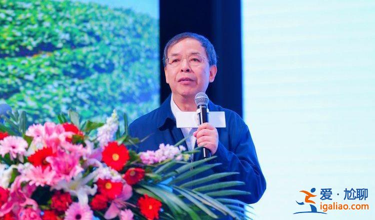 “城”势而上丨当黄花插上数字科技的翅膀？