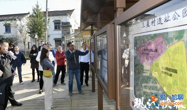 填补多项考古空白 江苏常州金坛三星村遗址发掘助力华夏文明探源？