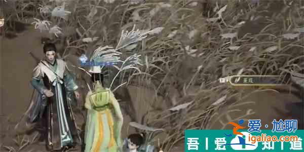 射雕手游三蒹葭获取方法是什么 具体一览？
